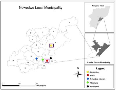 The impact of credit accessibility and information communication technology on the income of small-scale sugarcane farmers in Ndwedwe Local Municipality, KwaZulu-Natal Province, South Africa